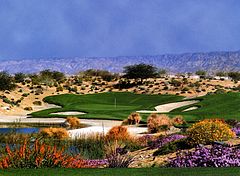 Desert Willow Golf Resort