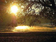 Audubon Park Golf Course