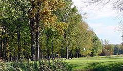 Leaning Tree Golf Club