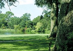 President Broadwater Golf Club