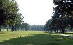 Turtle Pointe Golf Club