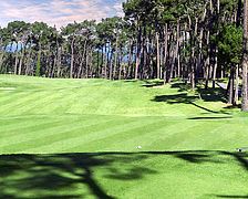 Poppy Hills Golf Course