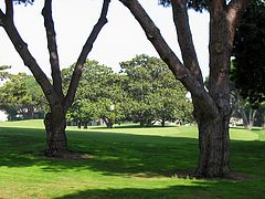 Los Amigos Country Club