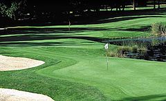 Bear Creek Country Club