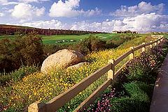 Arrowood Gold Course