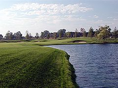 The Bull at Pinehurst Farms