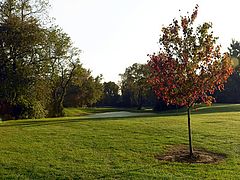 Gambler Ridge Golf Club
