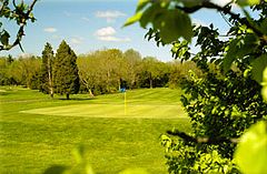 Mattawang Golf Club, The