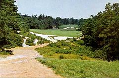 Pine Valley Golf Club