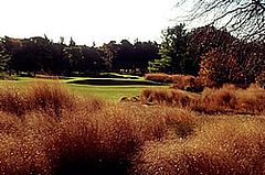 Shark River Golf Course