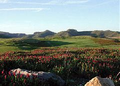 Twisted Gun Golf Course