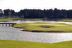 Wizard Golf Course, The