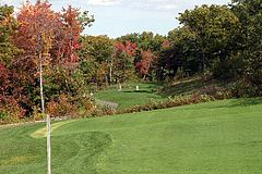 Meadow At Peabody, The