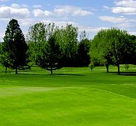 Foxfire at Village Green