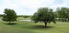 Fire Lake Golf Course