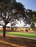 Hunter Ranch Golf Course