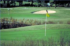 Meadow Links at George T. Bagby Golf