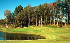 Bear Trace at Ross Creek Landing