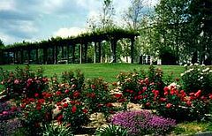 DoubleTree Carmel Highland Resort