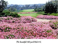 The Bridges at Rancho Santa Fe