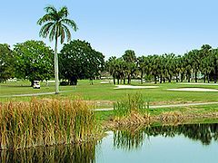 Palmetto Golf Course