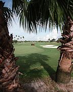 Mangrove Bay Golf Course